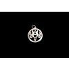 Kovový amulet kolekce moudrosti - varianta Ryby