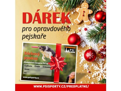 Psi sporty Vianoce 2024 banner