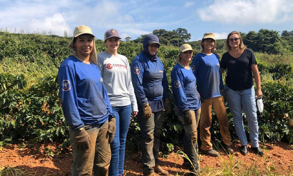 Cafeina Cocatrel Women’s Coffee – sklizeň a sušení kávy