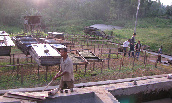 Okoluu Guji Natural Organic – farmáři a pěstování kávy