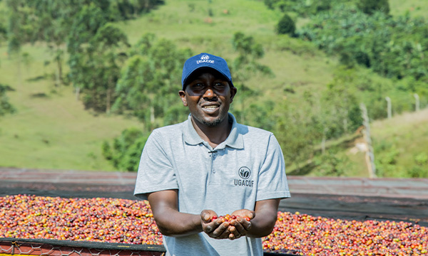 Uganda Kisiizi – farmář v oblasti Rwenzori