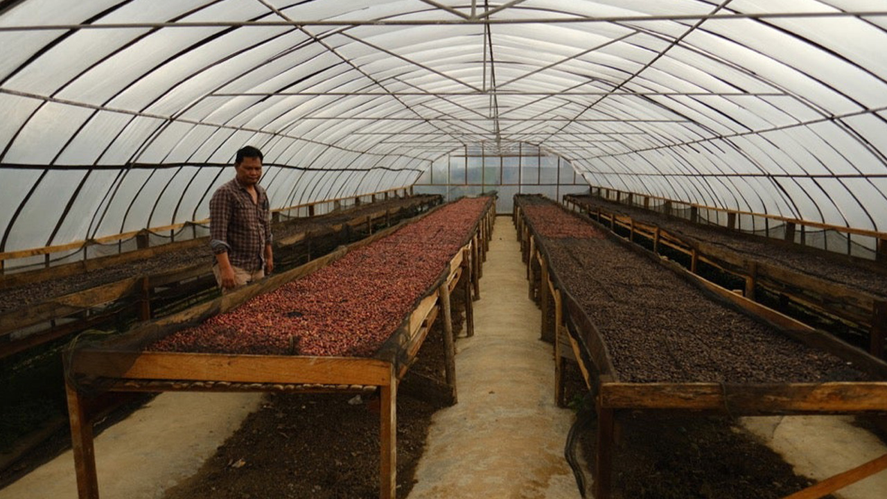 Asman Arianto Sumatra Natural – původ a prostředí v Acehu