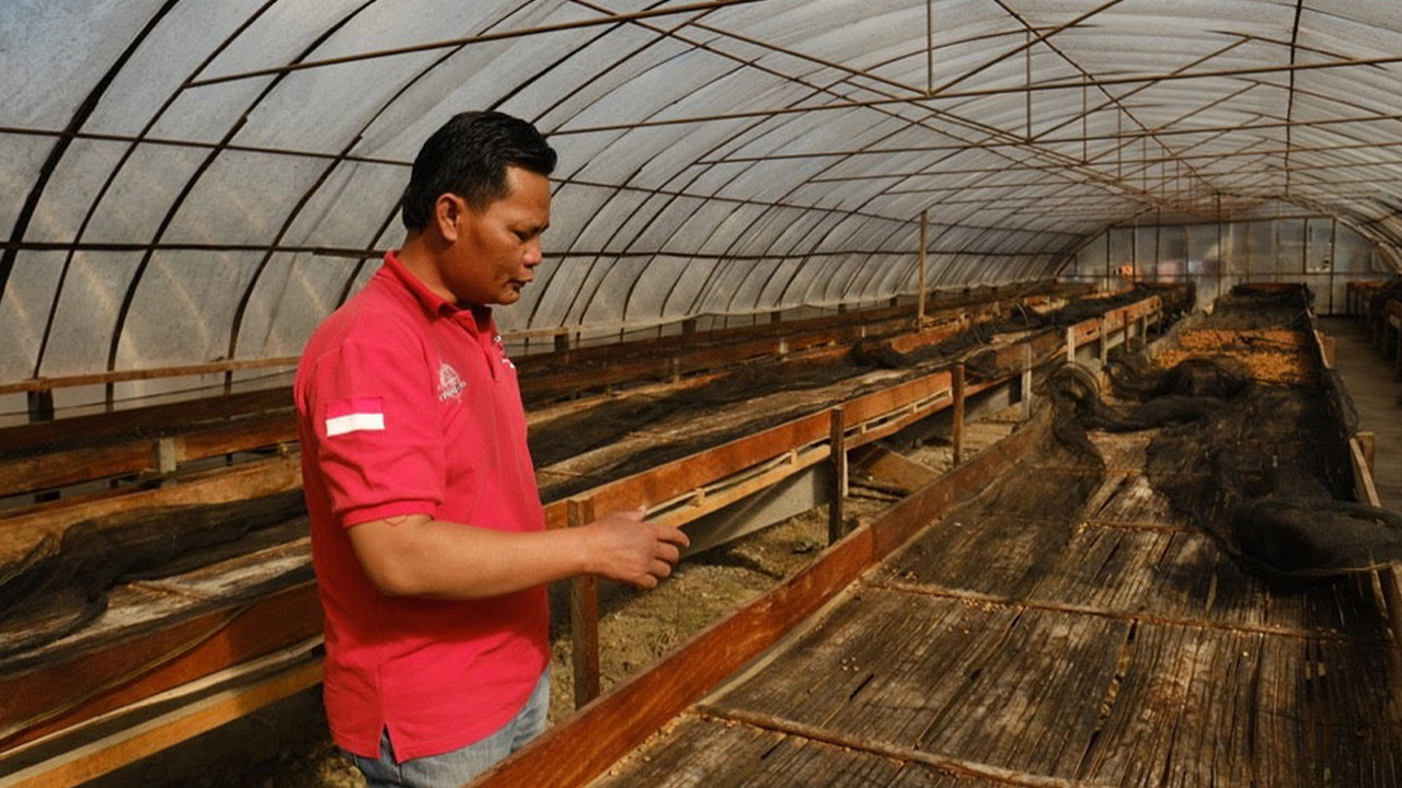 Asman Arianto Sumatra Natural – družstvo Ribang Gayo Musara