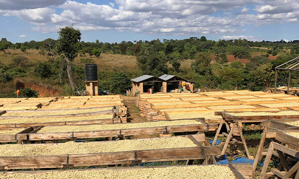 Korongo FW AB – farmáři a krajina Southern Highlands