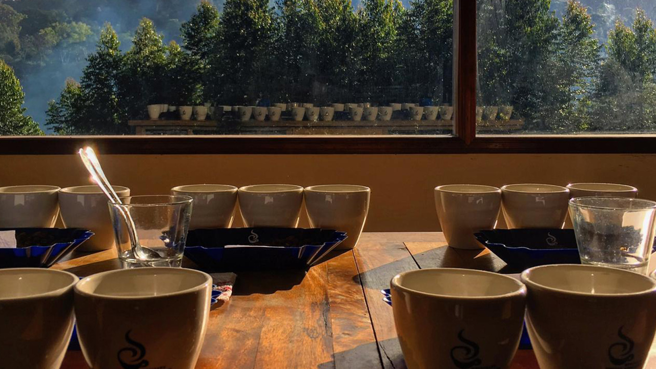 Finca Aurora FW RFA – ekosystém a zázemí farmy