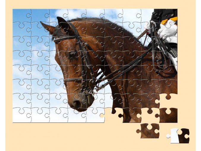 A5 72 puzzle