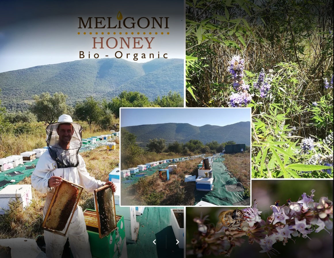 Meligoni_BIO_3