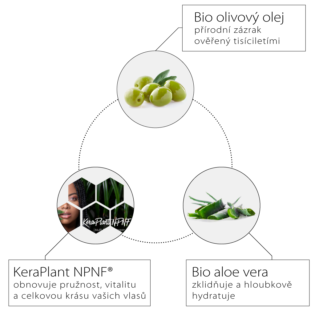 Olive_SPA_posilujici_sampon_01