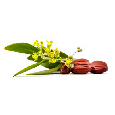 Olive_spa_krem_na_ruce_02