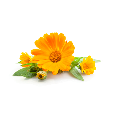 Olive_spa_krem_na_ruce_nohy_08