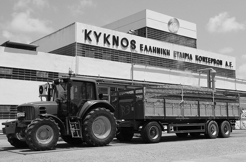 canning-factory-in-savalia