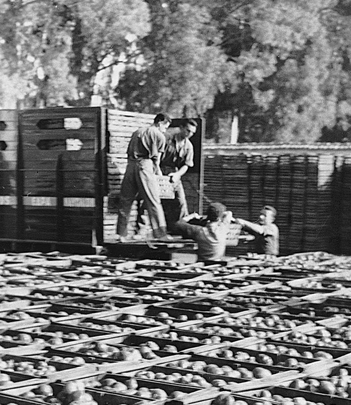 farmers-transporting-produce