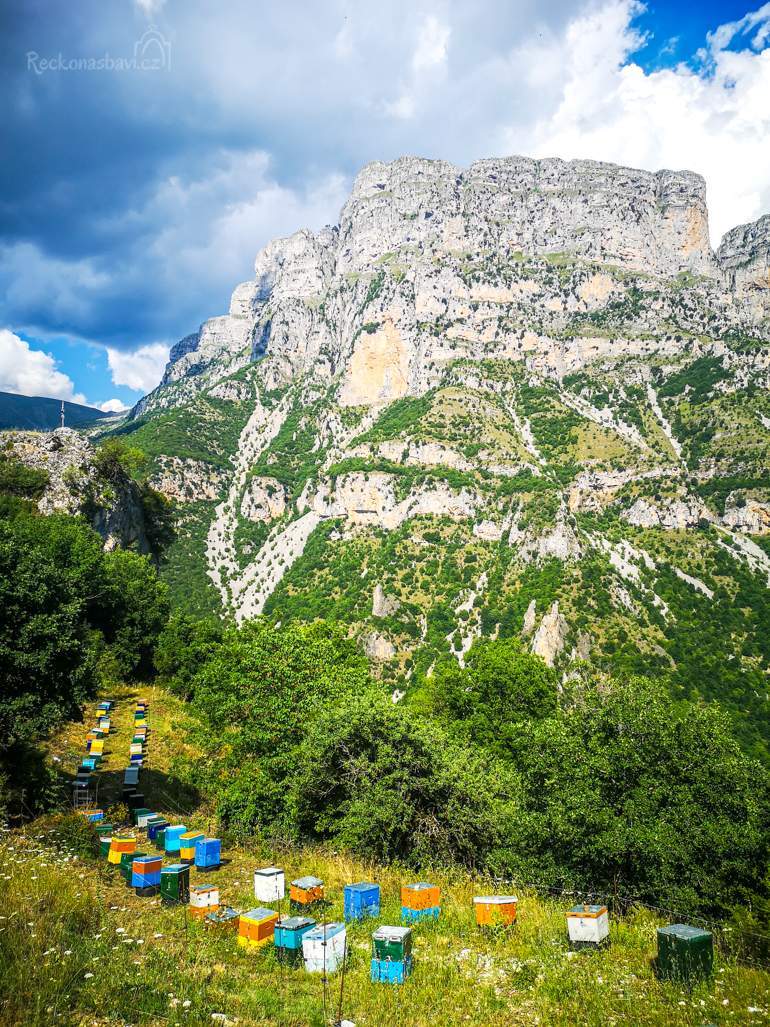 vceli_uly_recko_zagori_vikos