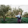 Corinto Olive Oil 10