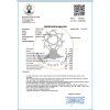 CORINTO BIO Q1 2026 polyfenoly