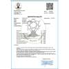 CORINTO BIO Q1 2026 polyfenoly
