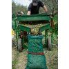 Corinto Olive Oil 93