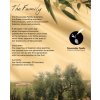 kousoulas 4