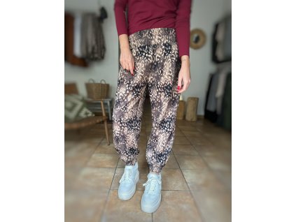 WhatsApp Image 2025 11 21 at 12.37.41