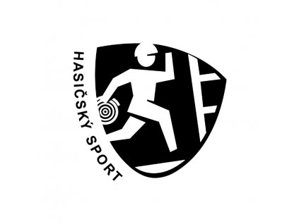 logo HS screen