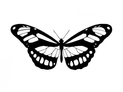 animal 2028156