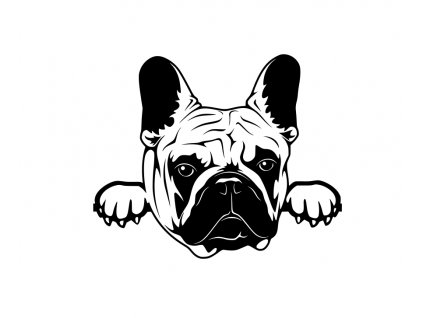 Samolepka francouzský buldoček 01