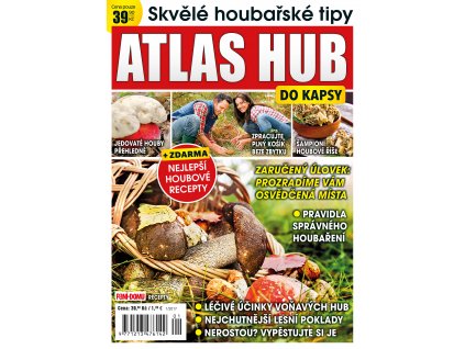 atlas hub 2017