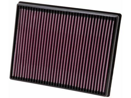 Replacement Air Filter BMW X5/X6 L6-3.0L DSL, 2007-2010