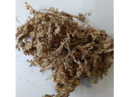 Dried Sphagnum moss, Chile, 100 g