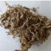 Dried Sphagnum moss, Chile, 100 g