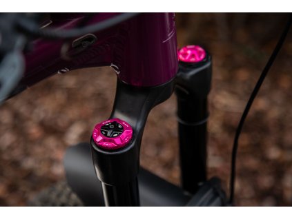 17 ForkcapHSC Mounted pink 1920x1920