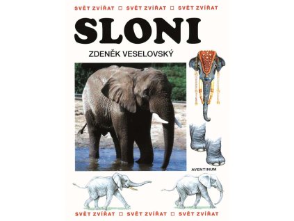 Sloni (Z. Veselovský)