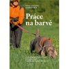 Práce na barvě (H.-J. Borngräber)