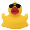 0004170 sunglasses duck 2500