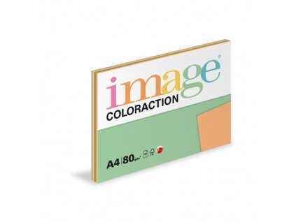 Papír barevný  A4/100/80g  intenzivní mix  5x20 listů    C