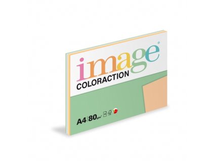 Papír barevný  A4/100/80g  pastelový mix  5x20 listů    C