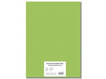 28543 1 barevny karton extra 300g 50x70cm svetle zeleny 10listu