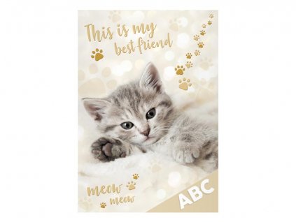 Desky na ABC Kočka