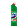 WC čistič  DOMESTOS 750ml