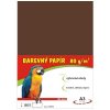 Barevný papír A3/100/80g-hnědý