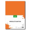 240131015 kreslicí karton oranžový