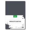 240131023 kreslicí karton černý