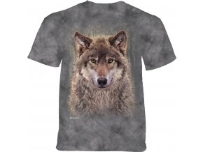 Grey Wolf Forest 10-6542