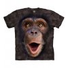 15 5962 Happy Chimp