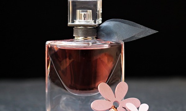 Jak feromony zvyšují vaši přitažlivost: Tajemství úspěchu v randění