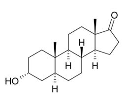 androsteron