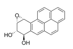 kopulin