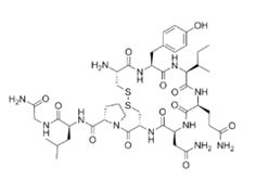 oxytocin