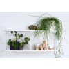 zavesny nastenny kvetinac design tamarki 38