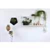 zavesny nastenny kvetinac design tamarki 39